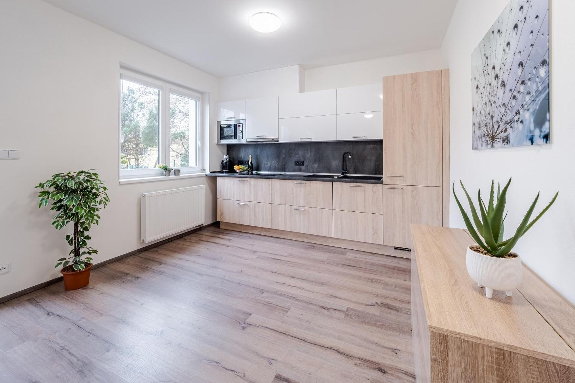 Private Luxury Apartments - Apartman G3 Фримбурк Екстериор снимка