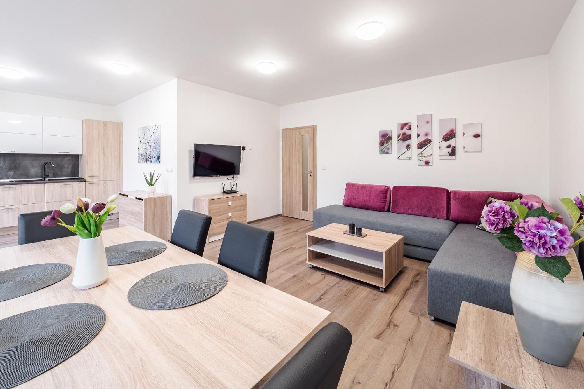Private Luxury Apartments - Apartman G3 Фримбурк Екстериор снимка