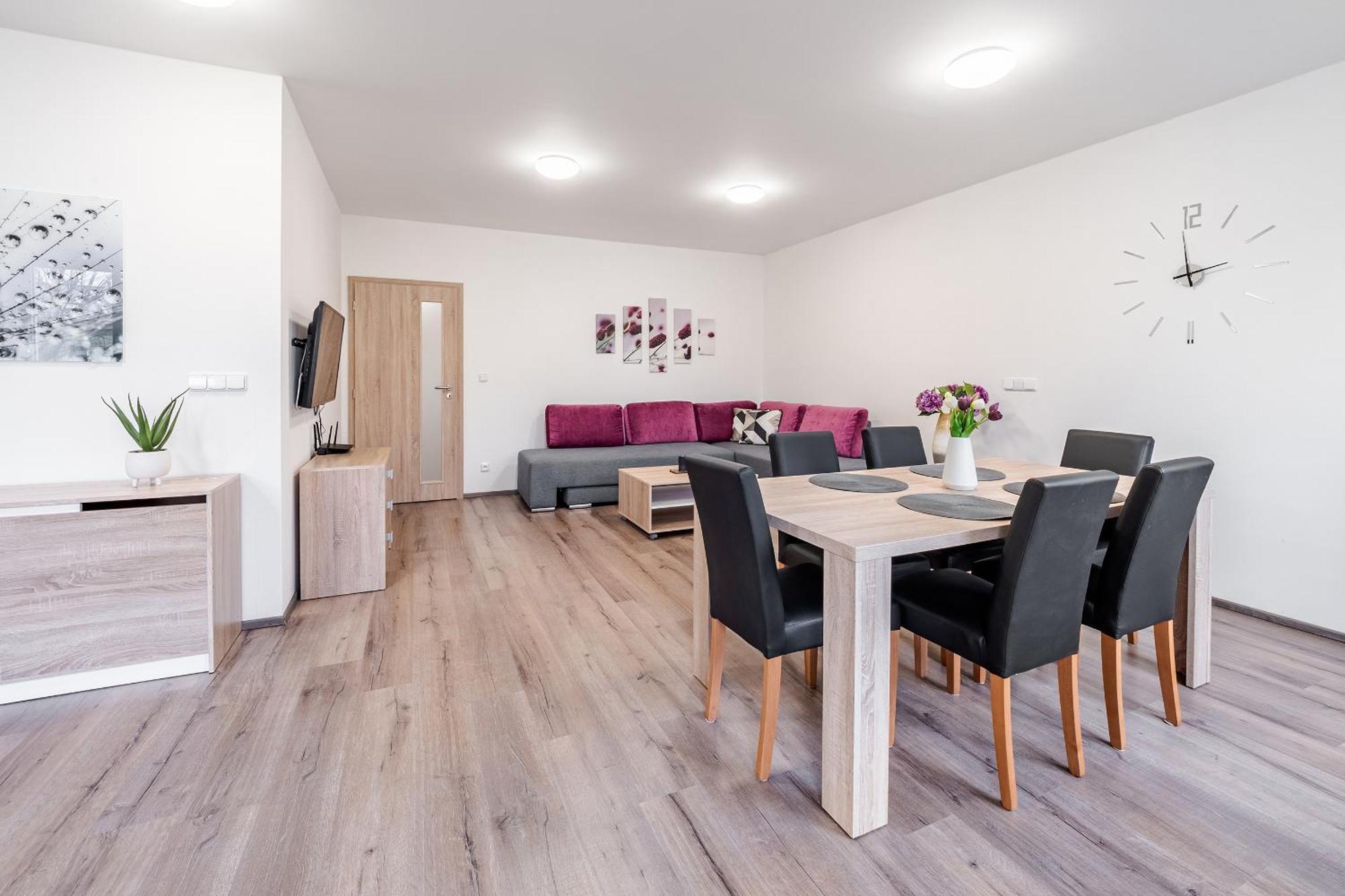 Private Luxury Apartments - Apartman G3 Фримбурк Екстериор снимка