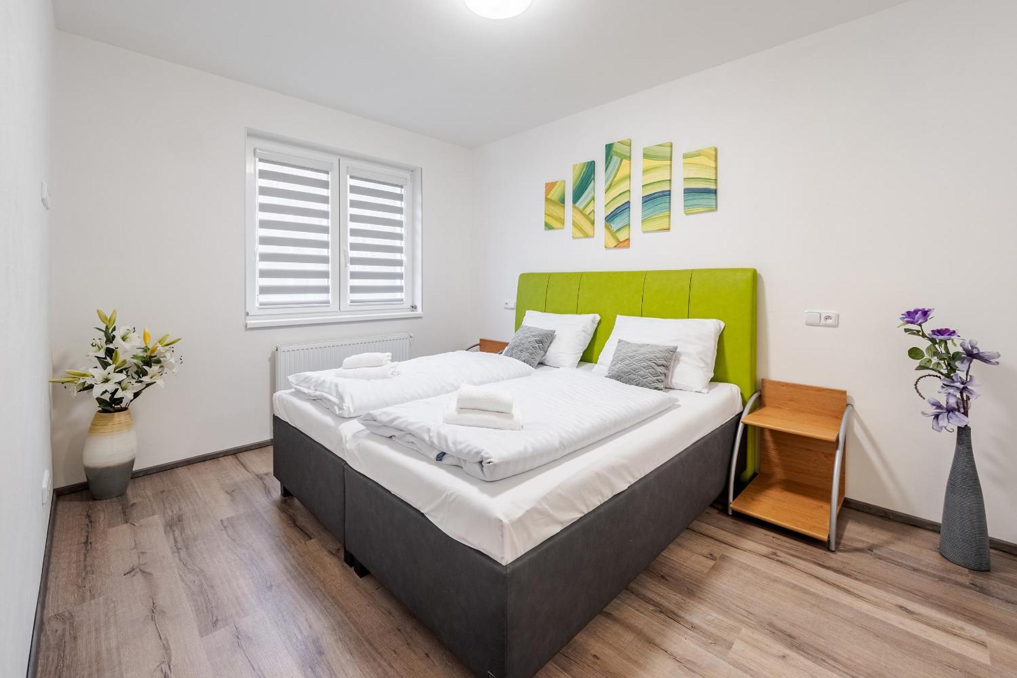 Private Luxury Apartments - Apartman G3 Фримбурк Екстериор снимка